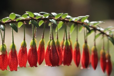 无锡滨湖区2零用贷短借：轻松解决临时资金需求