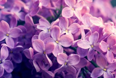 无锡滨湖区2企业急用钱贷款攻略：快速融资解燃眉之急